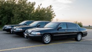 black car service edmonton apex limousine